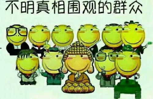 吃瓜群众在七零